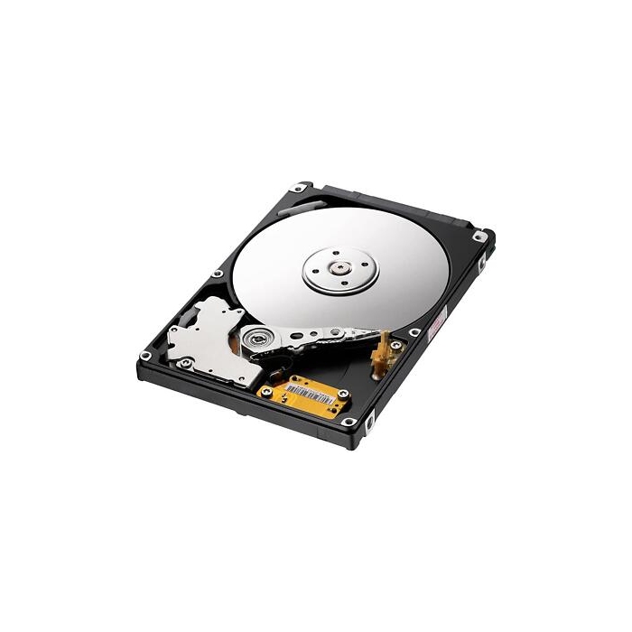 1TB 3.5" Surveillance Hard Drive